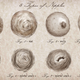 Image for article titled What Type of Nipple Are You?